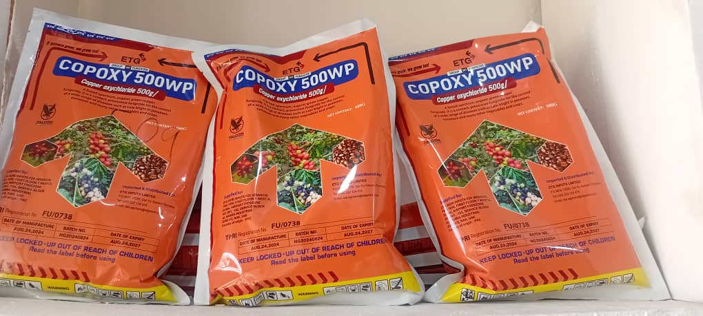 COPOXY