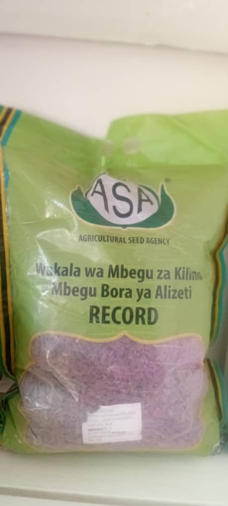 Mbegu za Alizeti – RECORD