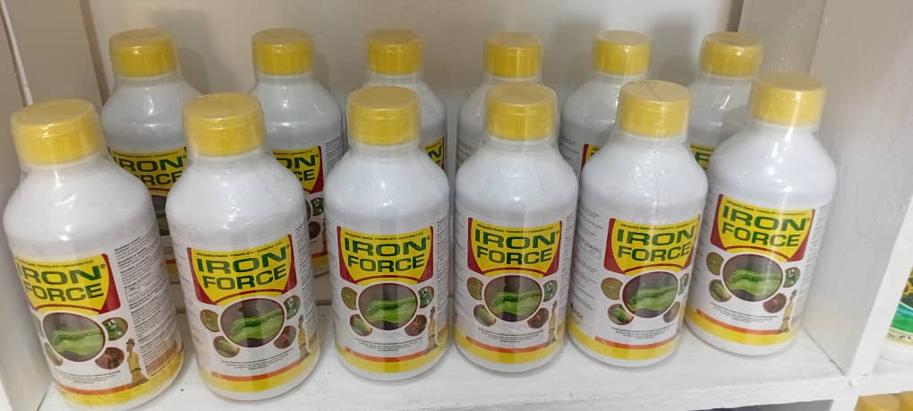 IRON FORCE