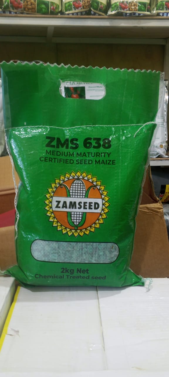 Maize Seed-ZAM SEED